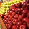 Polijas ābolu audzētājiem draud bankrota liktenis